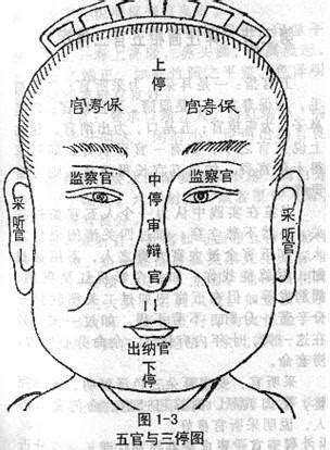 自私的面相 適合行業